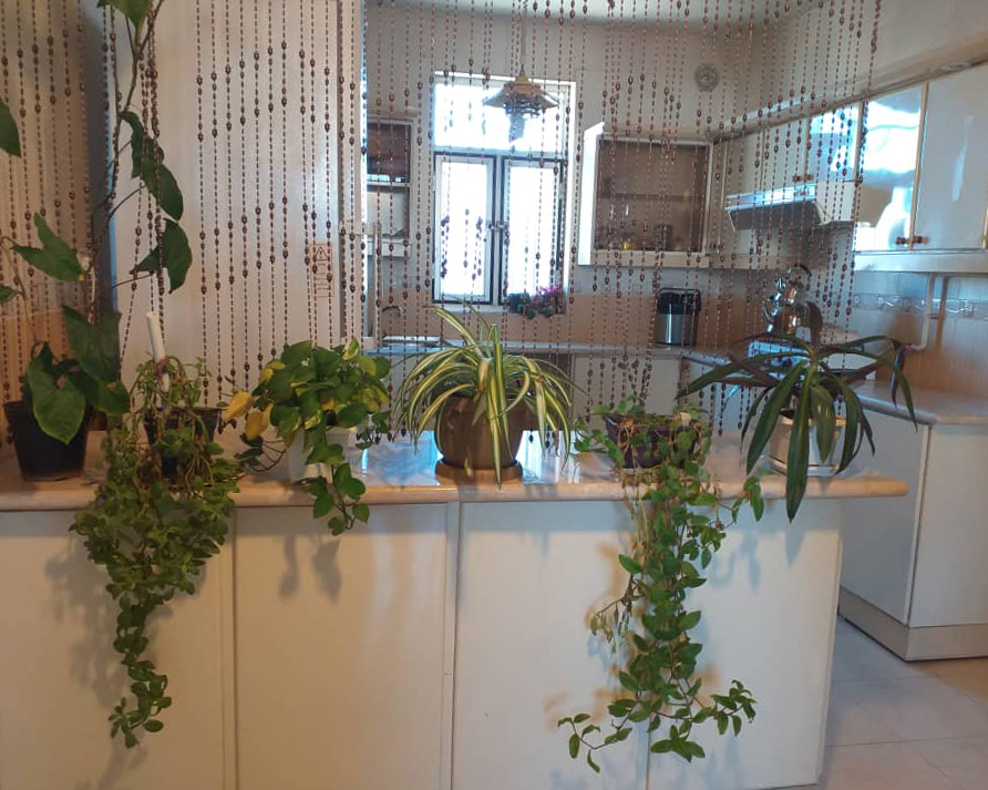 مرکز هرسین10