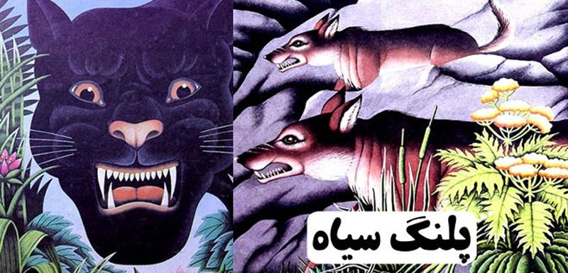 بهزاد غریب پور 2