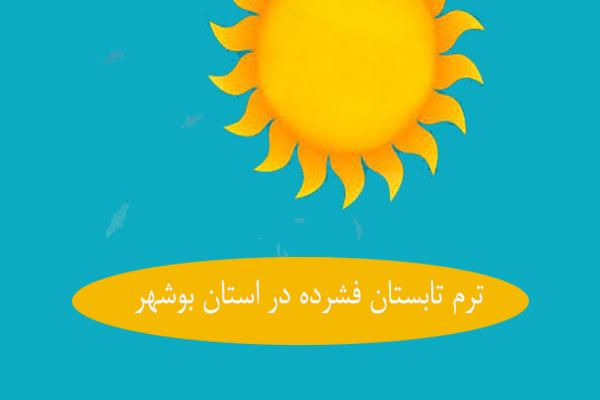 ترم تابستان فشرده در استان بوشهر