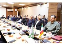 «سرپرست کانون زبان ایران در استان تهران» منصوب شد