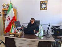 استان بوشهر