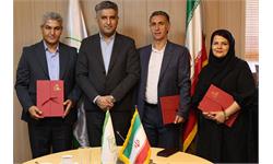 از همکاران بازنشسته کانون زبان ایران تجلیل شدنداز همکاران بازنشسته کانون زبان ایران تجلیل شدند