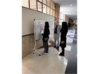 استان تهران