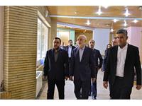 کاری که شما در کانون زبان ایران انجام می‌دهید جز با عشق نمی‌شود