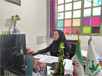 استان بوشهر