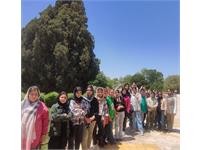 بازدید آموزشی- تفریحی زبان‌آموزان ابرکوهی از سرو کهنسال این شهر