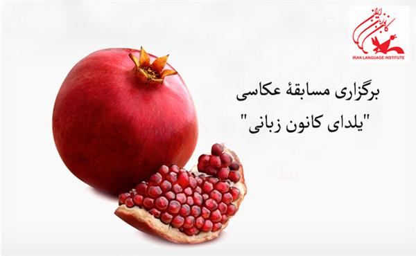 برگزاری مسابقۀ عکاسی "یلدای کانون زبانی"