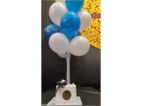 مراکز آموزشی کانون زبان استان اصفهان به استقبال بهار رفتند