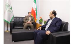 رسانه جدید